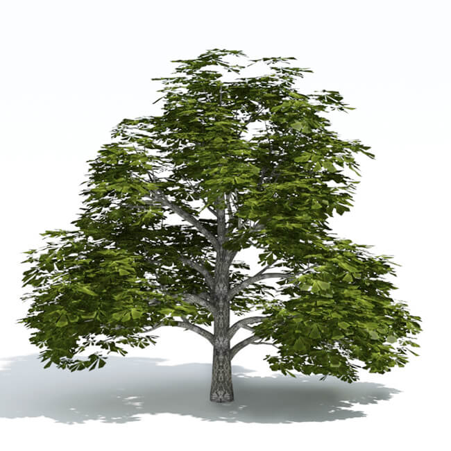 vray proxy trees free download