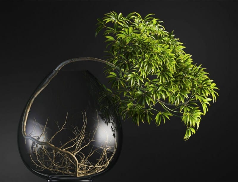 Bonsai tree 3D model | formats: MAX (VRay), FBX, OBJ | vol.1 - 10-1