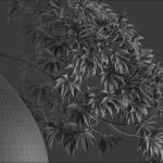 Bonsai tree 3D model | formats: MAX (VRay), FBX, OBJ | vol.1 - 10-1 - wire