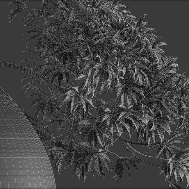 Bonsai tree vol.1 - 10-1 - wire Bonsai tree vol.1 - 10-1 - wire