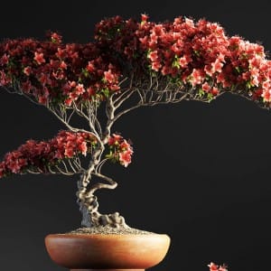 Bonsai tree 3D model | formats: MAX (VRay), FBX, OBJ | vol.1 - 12-1
