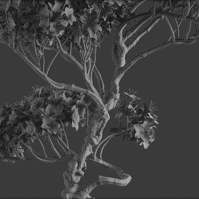 Bonsai tree vol.1 - 12-1 - wire Bonsai tree vol.1 - 12-1 - wire