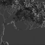 Bonsai tree 3D model | formats: MAX (VRay), FBX, OBJ | vol.1 - 12-2 - wire