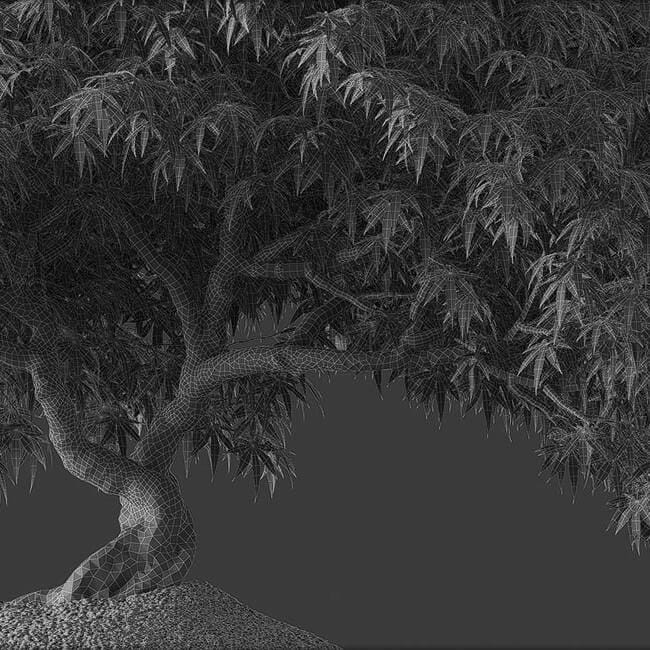 Bonsai tree vol.1 - 13-1 - wire Bonsai tree vol.1 - 13-1 - wire