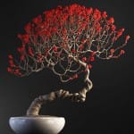 Bonsai tree 3D model | formats: MAX (VRay), FBX, OBJ | vol.1 - 14-2