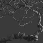 Bonsai tree 3D model | formats: MAX (VRay), FBX, OBJ | vol.1 - 14-2 - wire