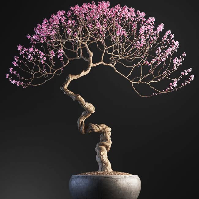 Bonsai tree vol.1 - 14-3 Bonsai tree vol.1 - 14-3