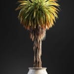 Bonsai tree 3D model | formats: MAX (VRay), FBX, OBJ | vol.1 - 16-2