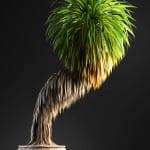 Bonsai tree 3D model | formats: MAX (VRay), FBX, OBJ | vol.1 - 16-3