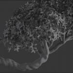 Bonsai tree 3D model | formats: MAX (VRay), FBX, OBJ | vol.1 - 2-1 - wire