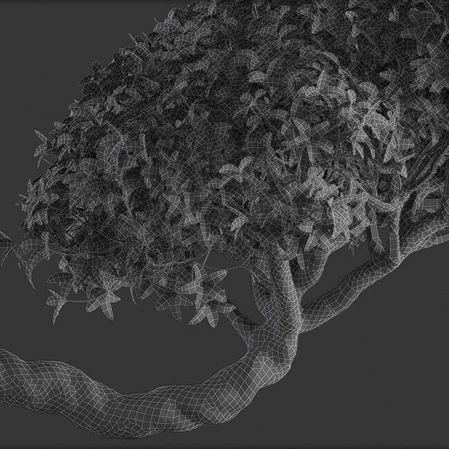 Bonsai tree vol.1 - 2-1 - wire Bonsai tree vol.1 - 2-1 - wire