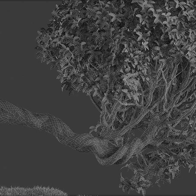 Bonsai tree vol.1 - 2-2 - wire Bonsai tree vol.1 - 2-2 - wire