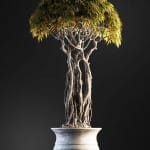 Bonsai tree 3D model | formats: MAX (VRay), FBX, OBJ | vol.1 - 6-2
