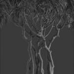 Bonsai tree 3D model | formats: MAX (VRay), FBX, OBJ | vol.1 - 6-2 - wire