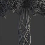 Bonsai tree 3D model | formats: MAX (VRay), FBX, OBJ | vol.1 - 7-1 - wire