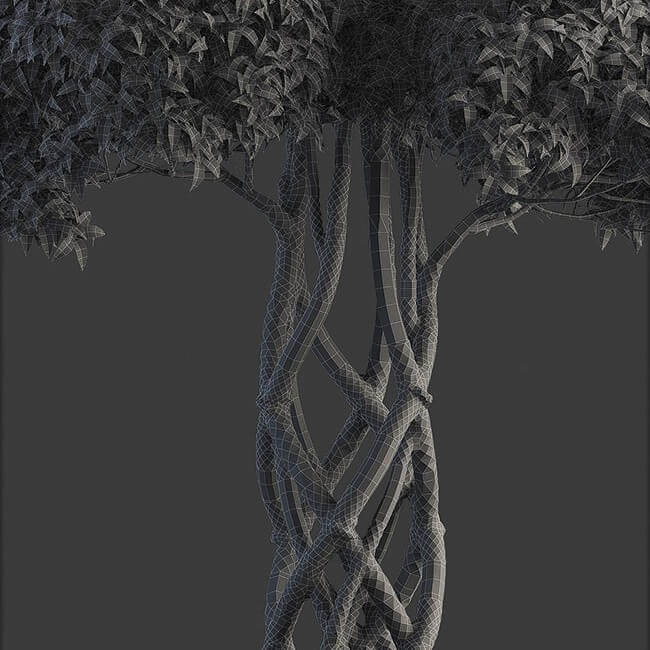 Bonsai tree vol.1 - 7-1 - wire Bonsai tree vol.1 - 7-1 - wire