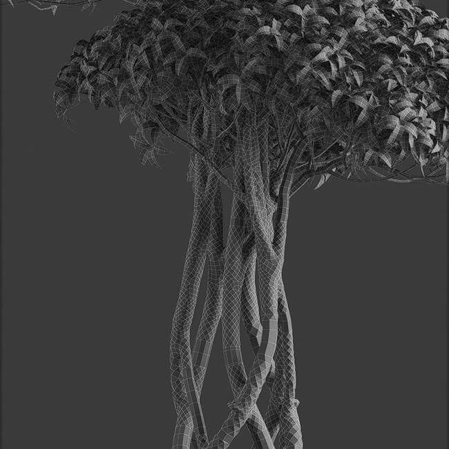Bonsai tree vol.1 - 7-2 - wire Bonsai tree vol.1 - 7-2 - wire