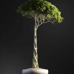 Bonsai tree 3D model | formats: MAX (VRay), FBX, OBJ | vol.1 - 7-3