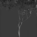 Bonsai tree 3D model | formats: MAX (VRay), FBX, OBJ | vol.1 - 7-3 - wire