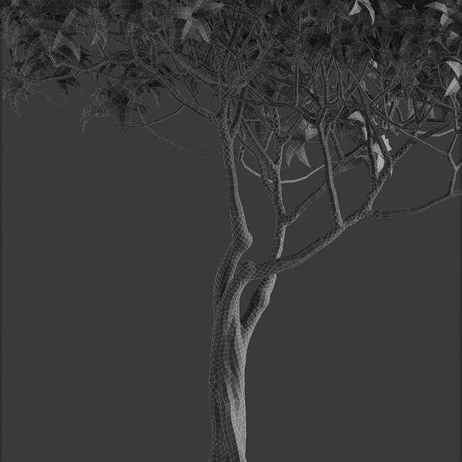 Bonsai tree vol.1 - 7-3 - wire Bonsai tree vol.1 - 7-3 - wire