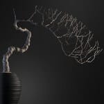 Bonsai tree 3D model | formats: MAX (VRay), FBX, OBJ | vol.1 - 9-1