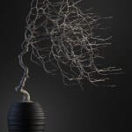Bonsai tree 3D model | formats: MAX (VRay), FBX, OBJ | vol.1 - 9-2