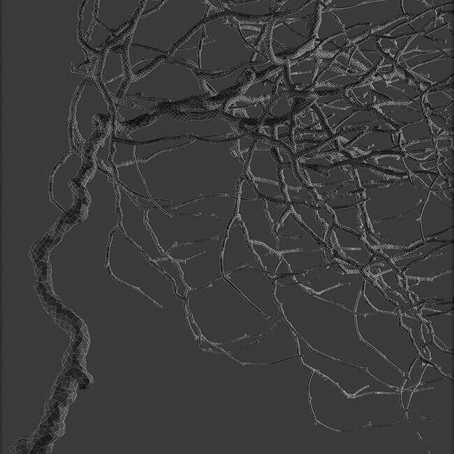 Bonsai tree vol.1 - 9-2 - wire Bonsai tree vol.1 - 9-2 - wire