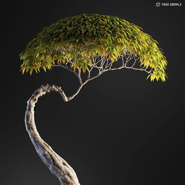 Bonsai tree vol.1 - 21-1 Bonsai tree vol.1 - 21-1