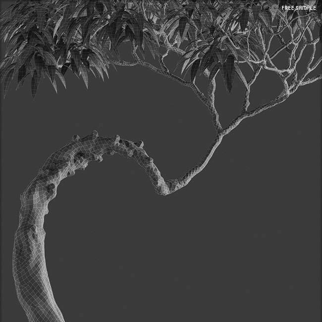 Bonsai tree vol.1 - 21-1 - wire Bonsai tree vol.1 - 21-1 - wire