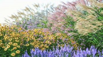 Realistic flowers and grasses for 3ds Max (HDPlants 3)
