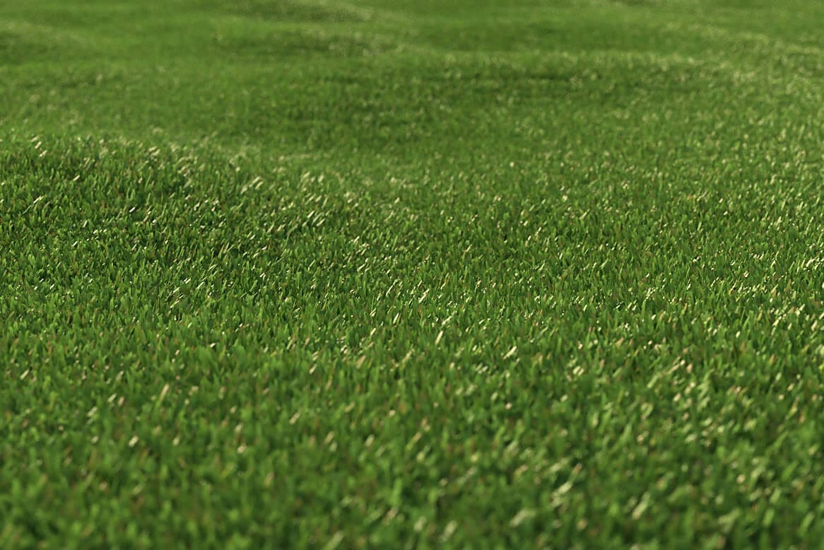 Realistic Flowers and Grass (HQ Grass 1) Plants Models for 3ds Max