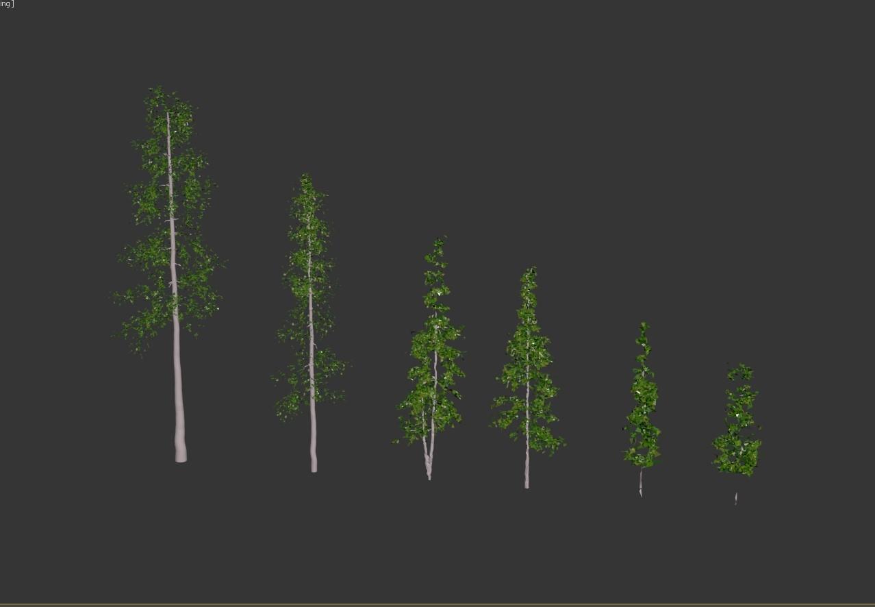 trees for thumbnails