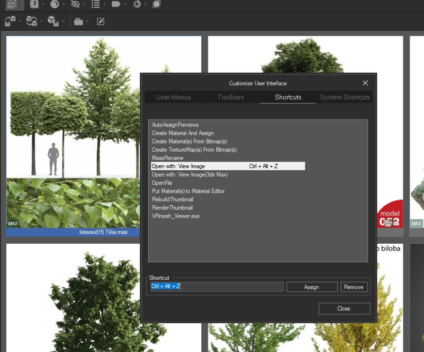 Project Manger View Image shortcut not working